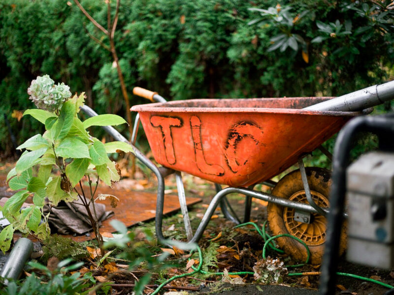 tlc wheel barrow and piers