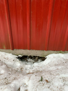 barn floor in mission concrete repair void before